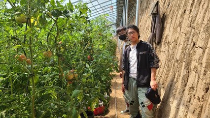 农产品与电商深度融合 赋能乡村振兴——陕能院学子调研云阳站电商扶贫基地与水果种植